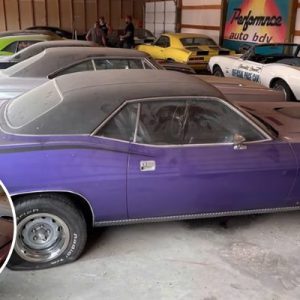 A Treasure Trove of Vintage Cars Found – Z/28 Camaros, 440 Barracuda, Hemi GTX, GTO