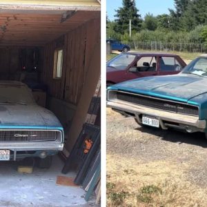 1968 Dodge Charger Garage Find Brought Back To Life After 28 Years Abandoned In A Junkyard.