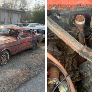 The Wrecked 1965 Mustang Fastback That Refuses to Give Up